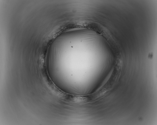 X0000113120707200909111140