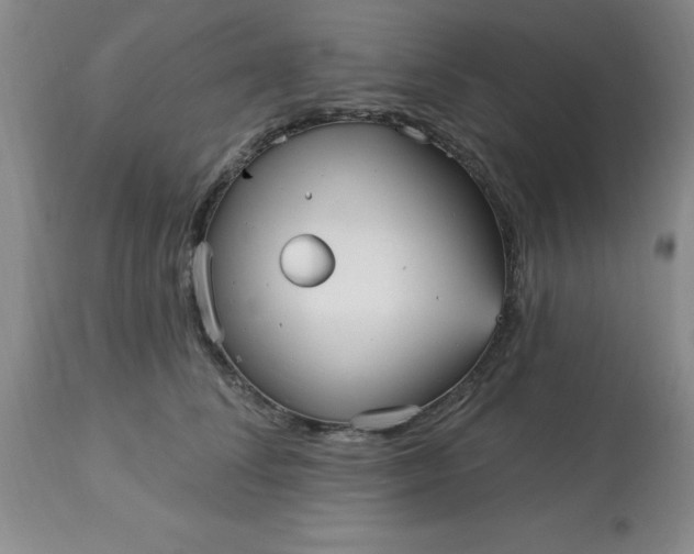 X0000113120708200909111140