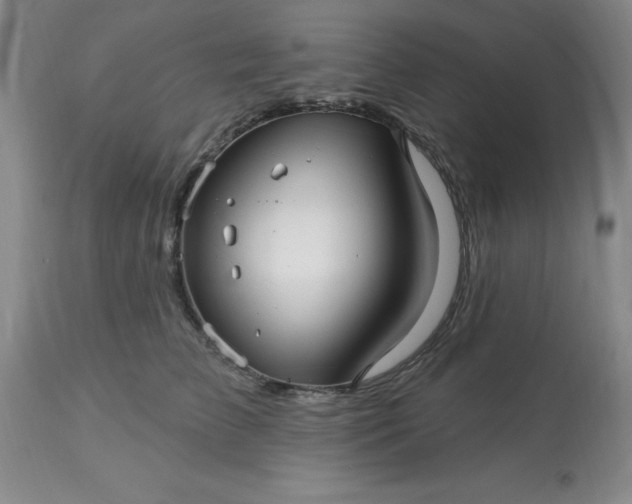 X0000113120709200909111140