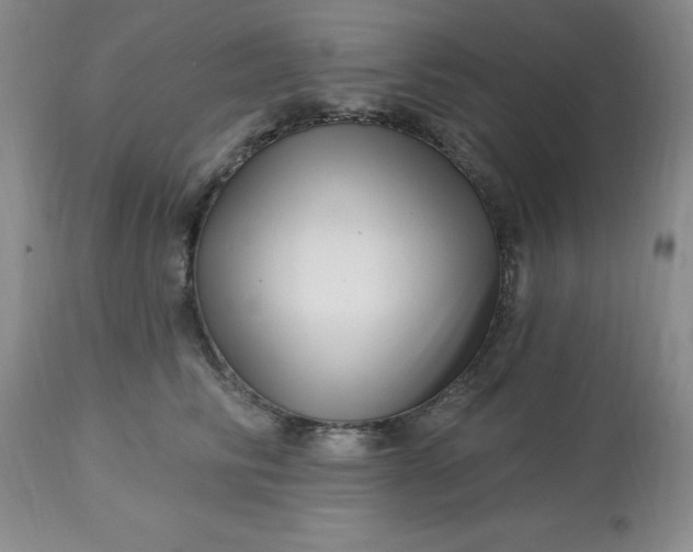 X0000113120710200909111140