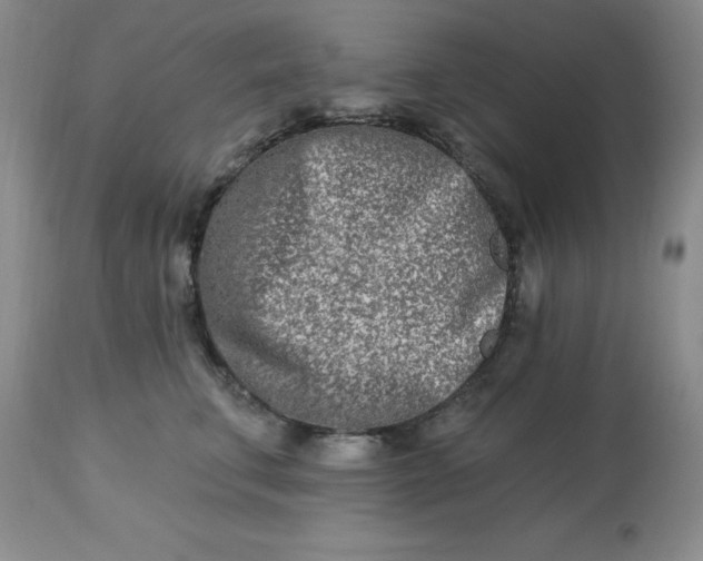 X0000113120711200909111140