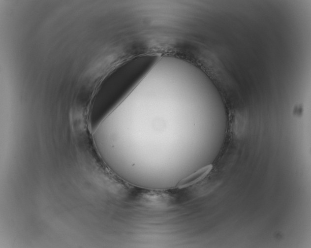 X0000113120712200909111139