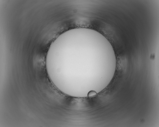 X0000113120713200909111139