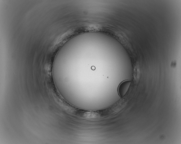 X0000113120714200909111139