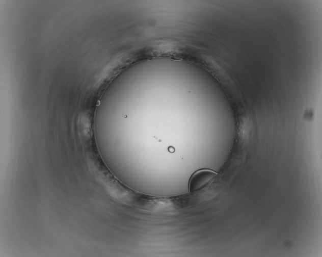 X0000113120715200909111139