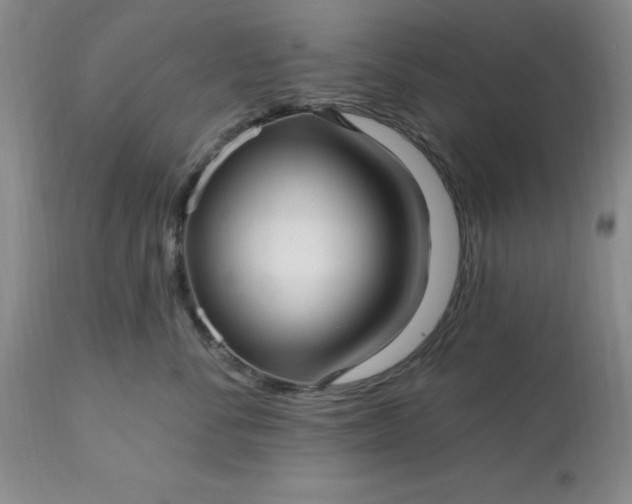 X0000113120716200909111139