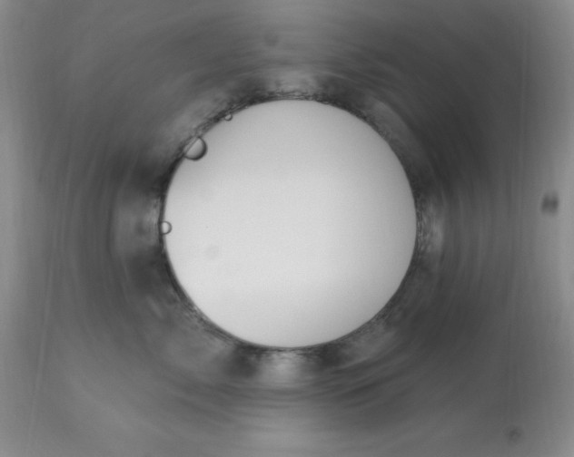 X0000113120717200909111139