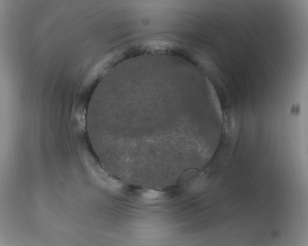 X0000113120718200909111139