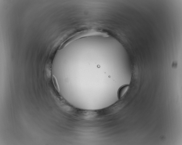 X0000113120719200909111139