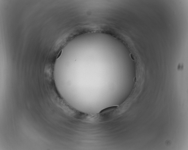 X0000113120720200909111139