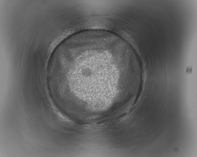 X0000113120721200909111139