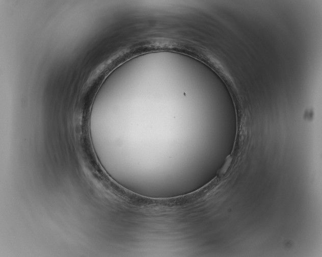 X0000113120722200909111139