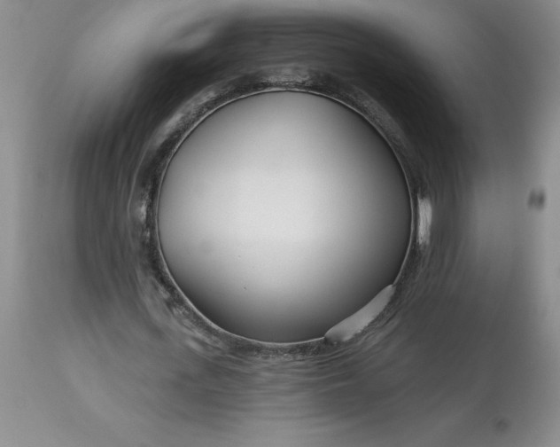 X0000113120723200909111139