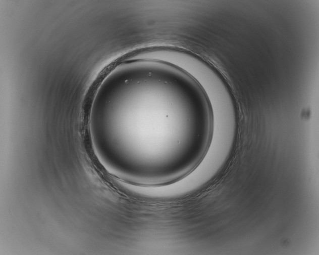 X0000113120724200909111139