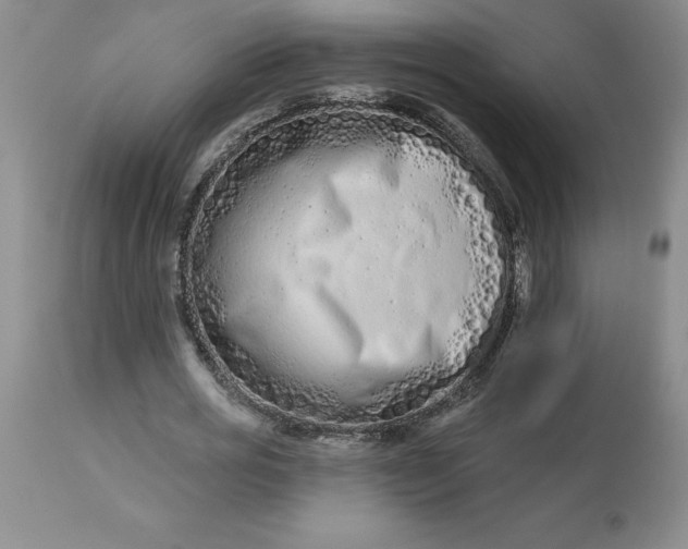 X0000113120725200909111139