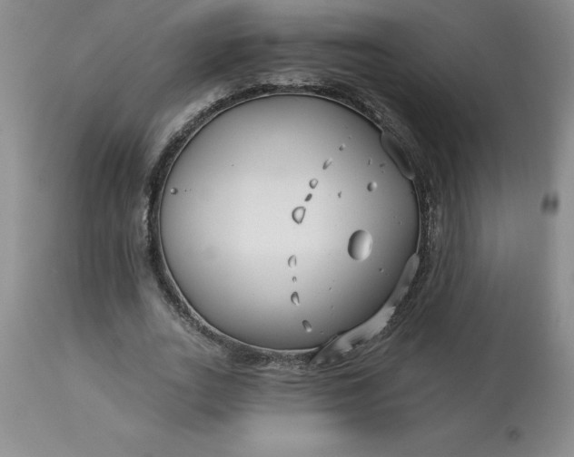 X0000113120727200909111139