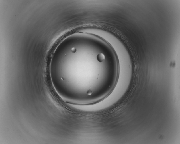 X0000113120728200909111139