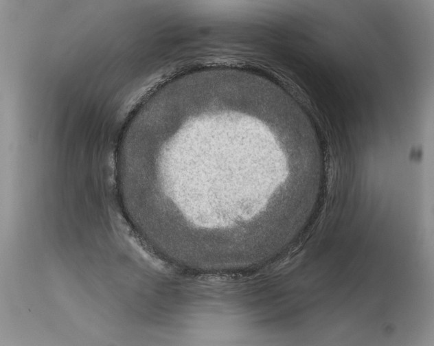 X0000113120729200909111139