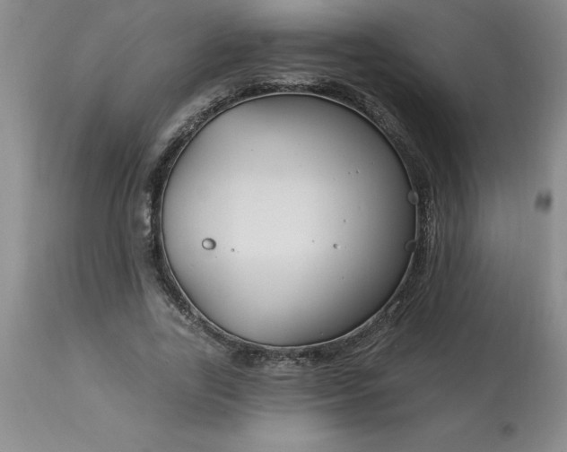 X0000113120731200909111139