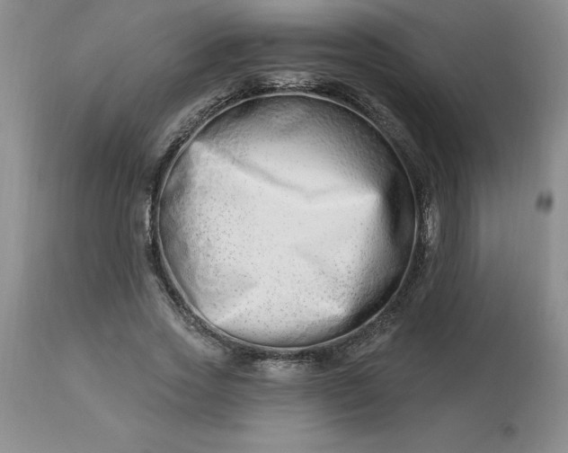 X0000113120733200909111139