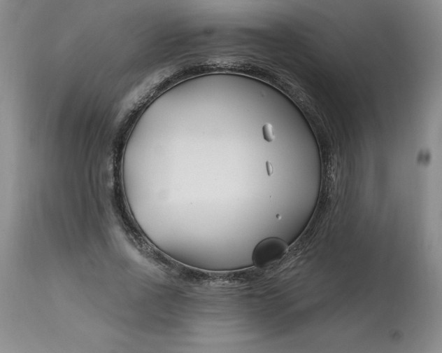 X0000113120734200909111139