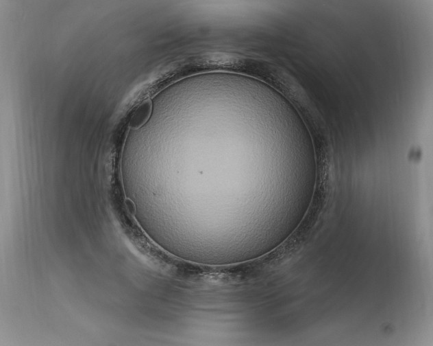 X0000113120736200909111139