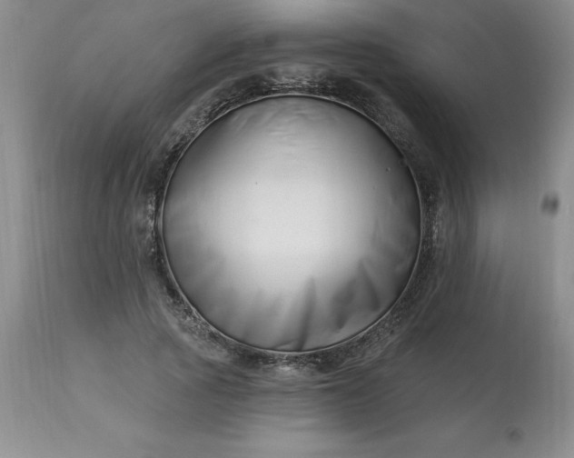 X0000113120737200909111139