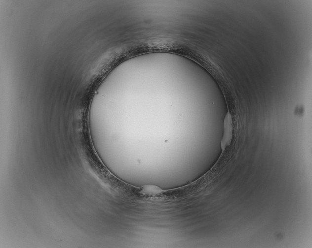 X0000113120738200909111139