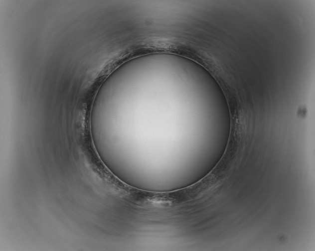 X0000113120739200909111139