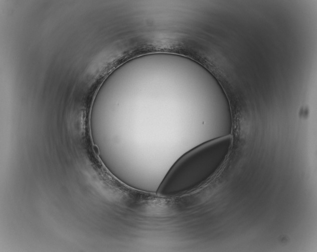 X0000113120740200909111139