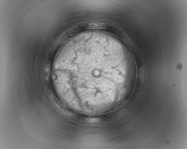 X0000113120741200909111139