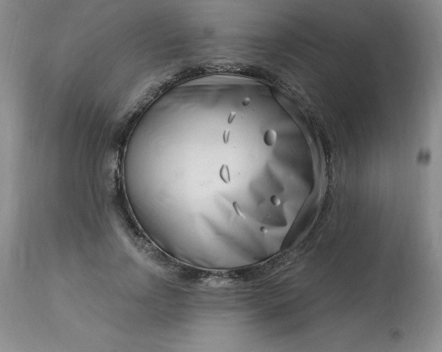 X0000113120742200909111139