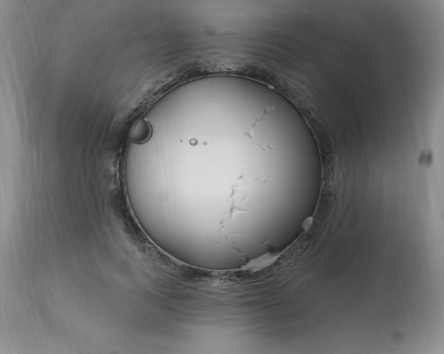 X0000113120743200909111139