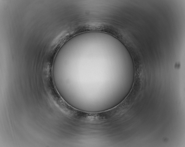 X0000113120744200909111139