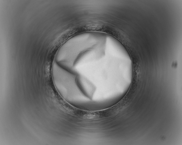 X0000113120745200909111139