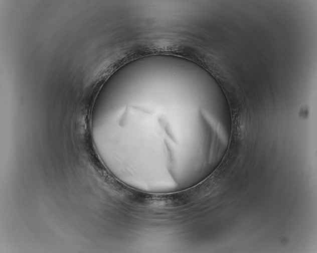 X0000113120746200909111139