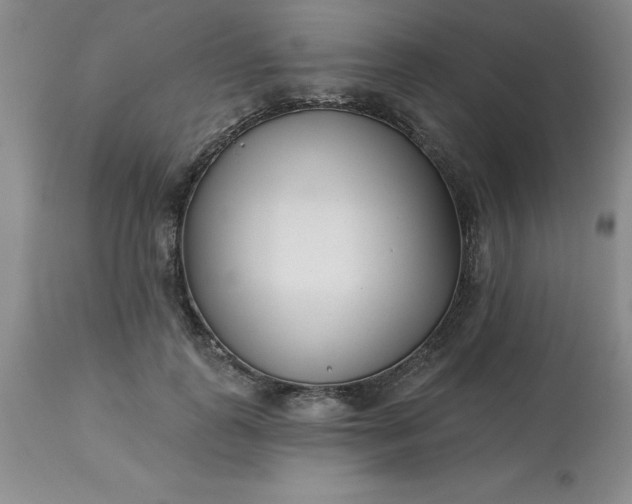 X0000113120747200909111139