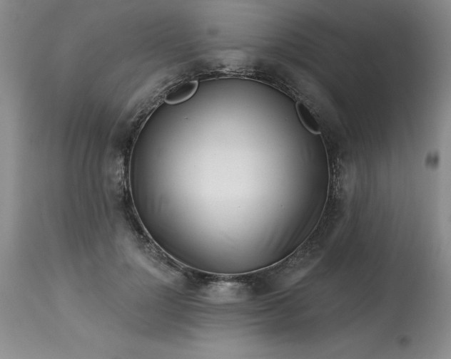 X0000113120748200909111139