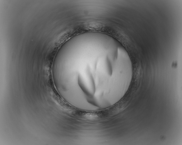 X0000113120749200909111139