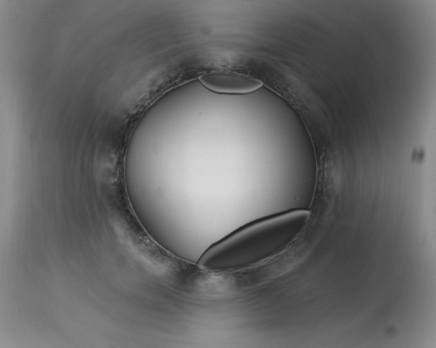 X0000113120750200909111139