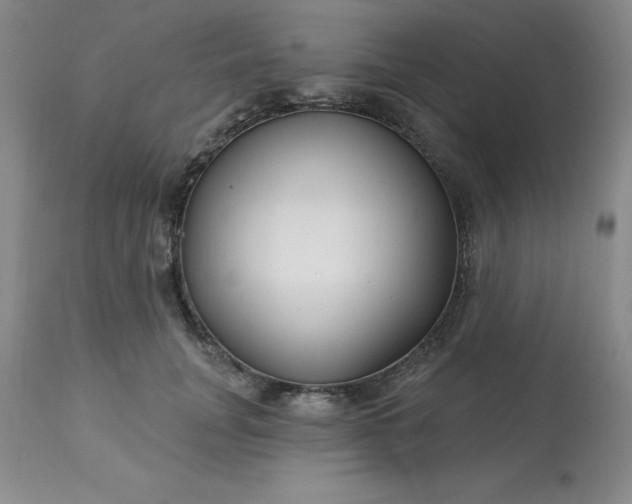 X0000113120751200909111139