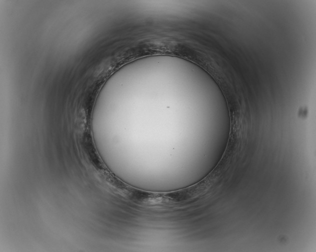 X0000113120752200909111139