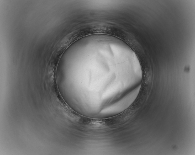 X0000113120753200909111139