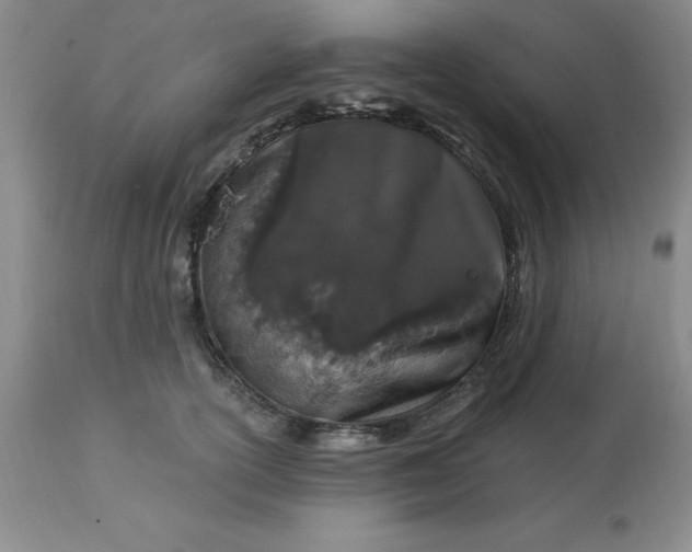 X0000113120754200909111139