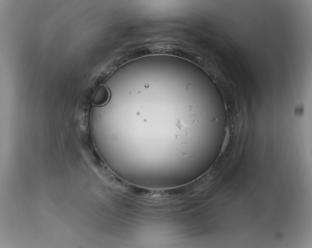 X0000113120755200909111139