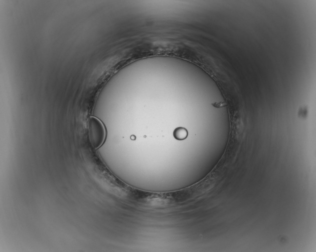 X0000113120756200909111139