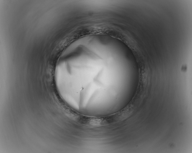 X0000113120757200909111139