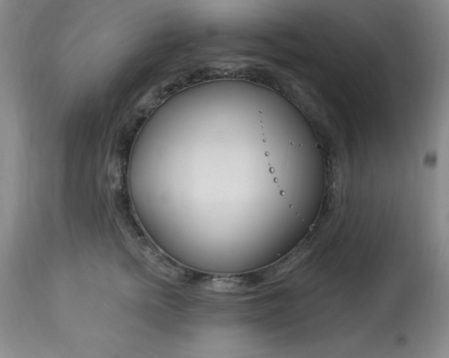 X0000113120758200909111139