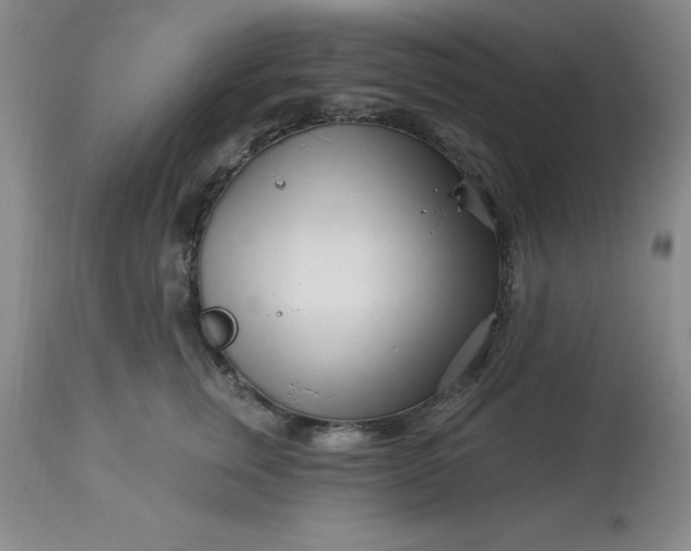 X0000113120759200909111139