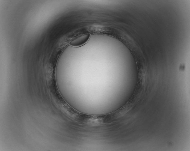 X0000113120760200909111139